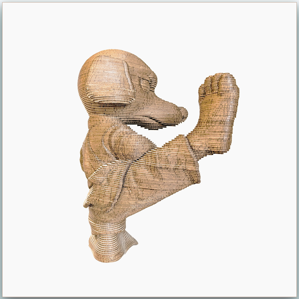 Cocker Karaté