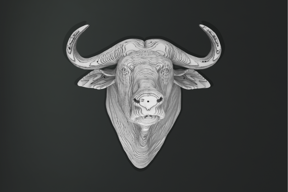 Tête de Buffle CART vue de profil