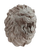 Tête de Lion CART en situation