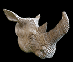 Tête de Rhinocéros CART en carton recyclé, sculpture murale montée