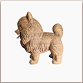 Bill le Petit Chien