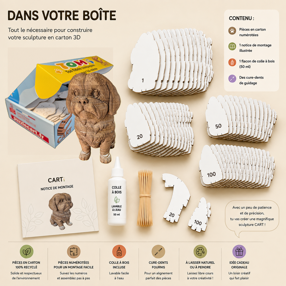 Tom le Petit Chien