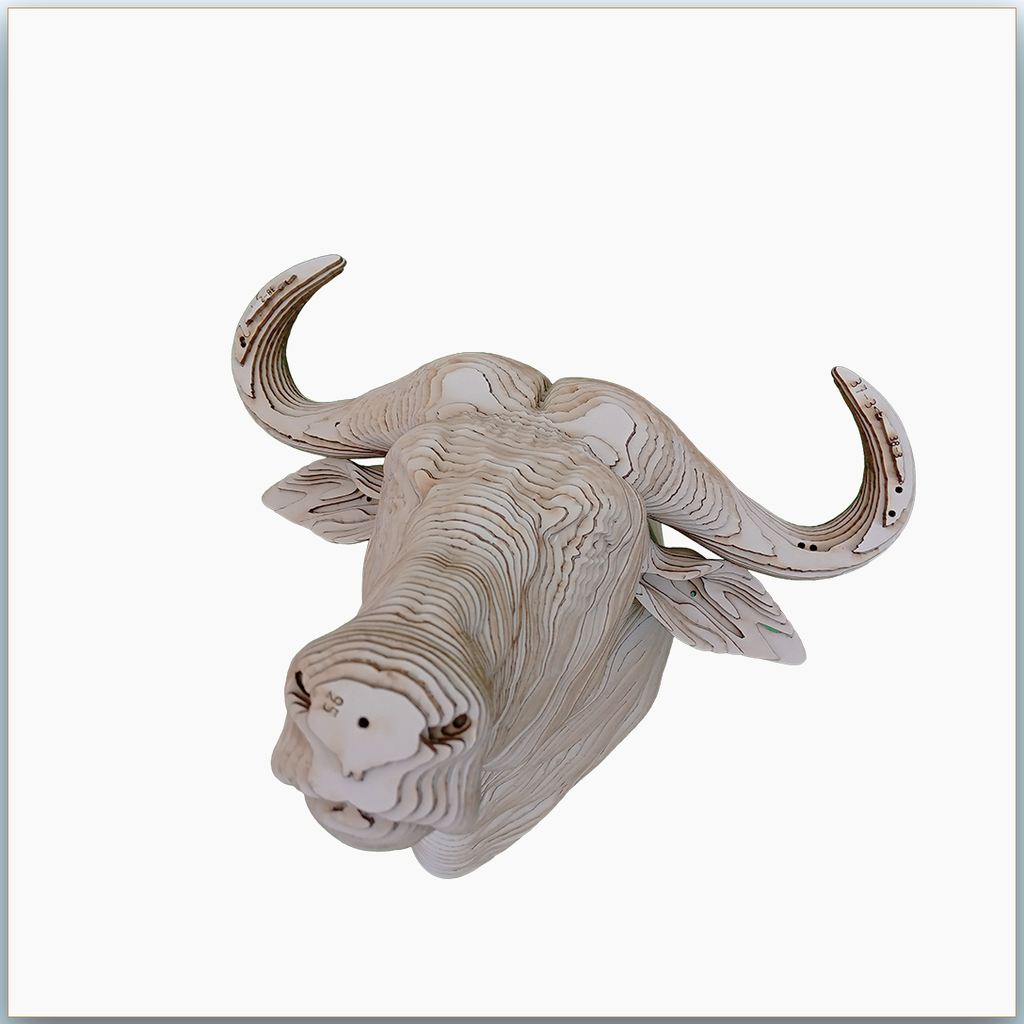 Tête de Buffle