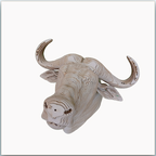 Tête de Buffle