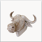 Tête de Buffle
