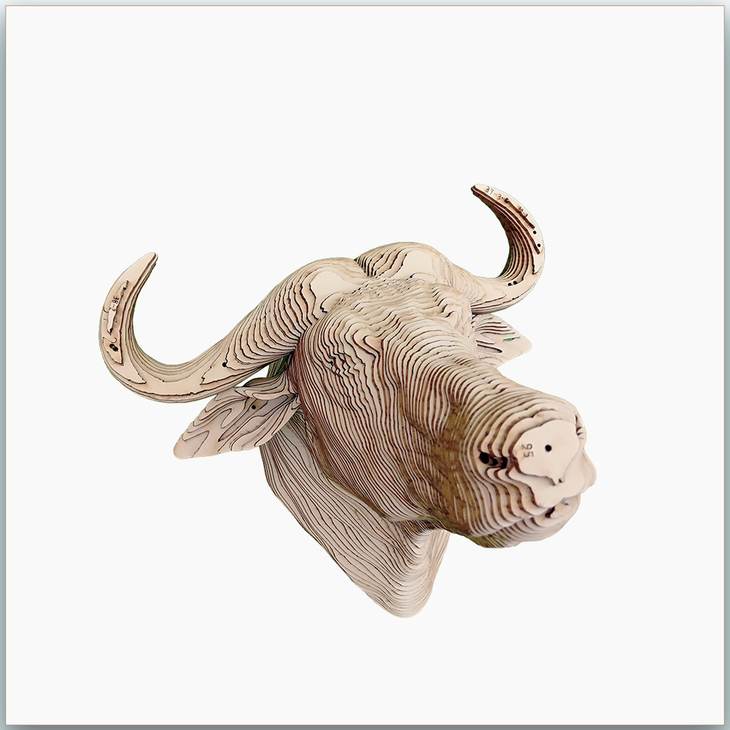Tête de Buffle