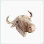 Tête de Buffle