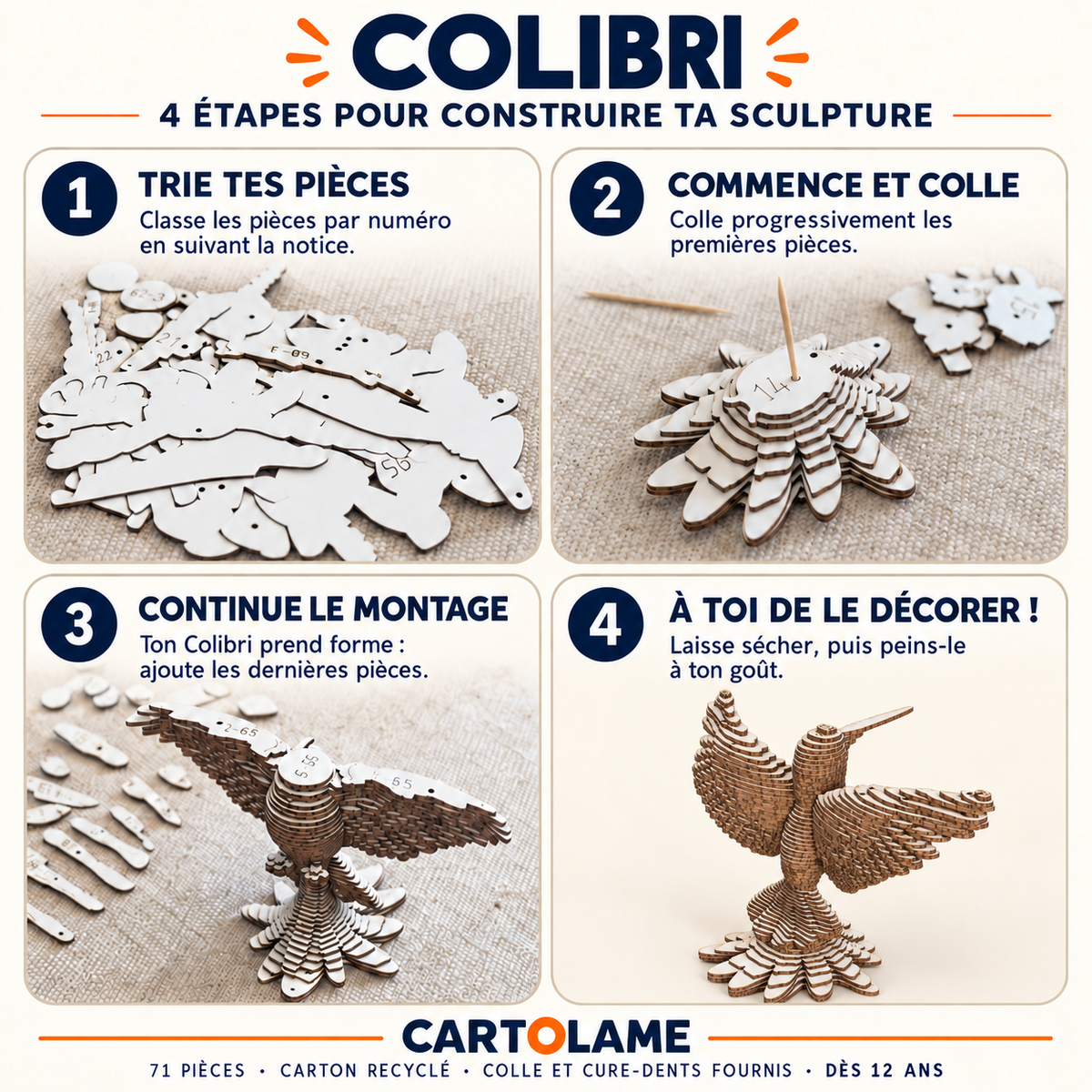 Les quatre étapes de montage du Colibri CARTOLAME, du tri des pièces à la sculpture prête à décorer.