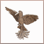 Colibri