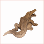 Crocodile