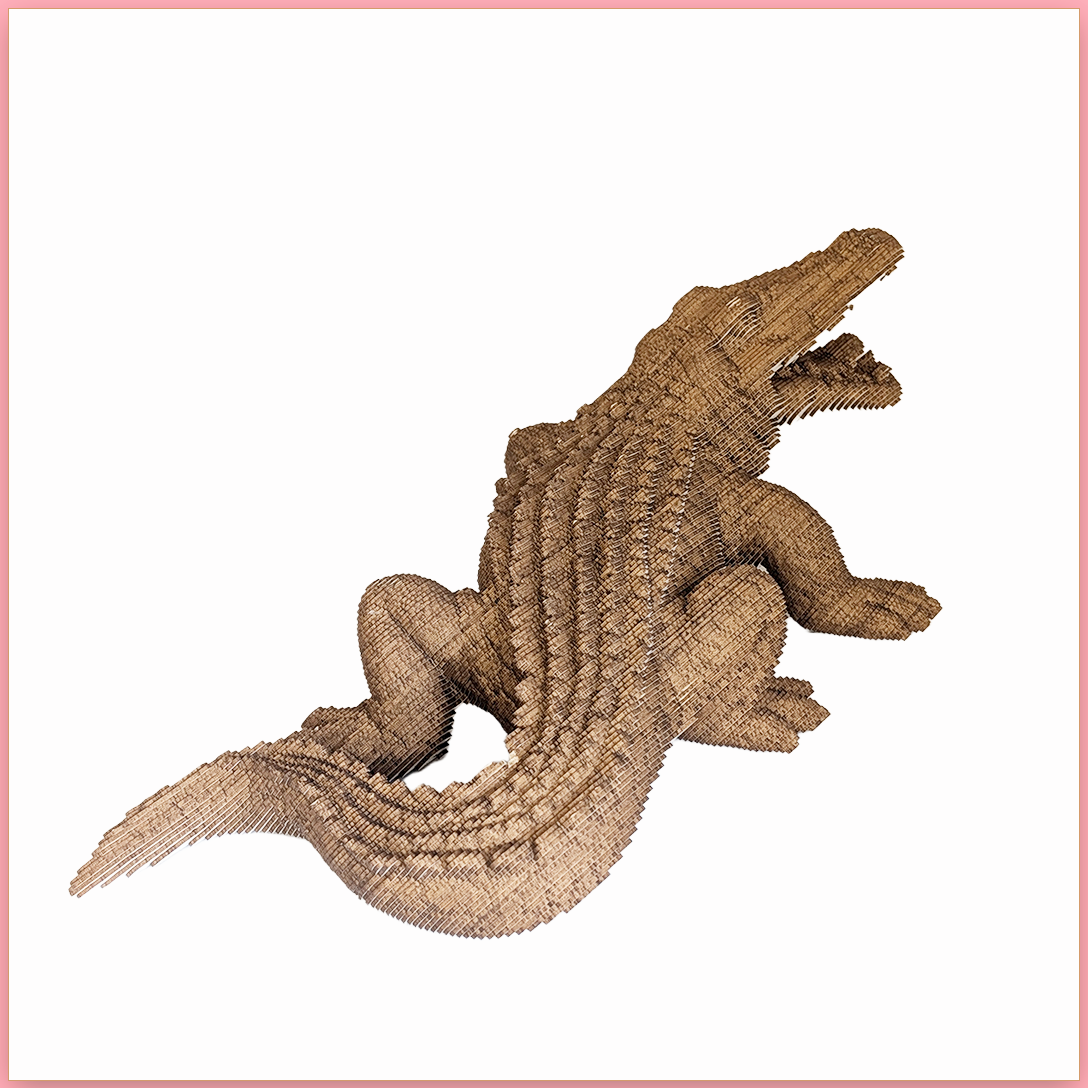 Crocodile