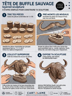 Tête de Buffle