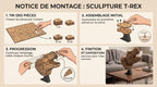 Tête de Dinosaure