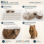 Bill le Petit Chien