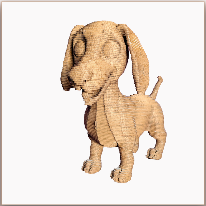 Jack le Petit Chien