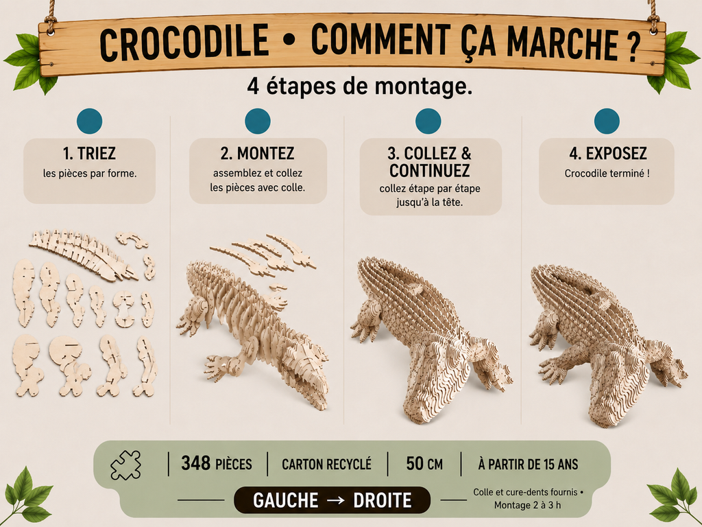 Crocodile