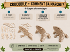 Crocodile