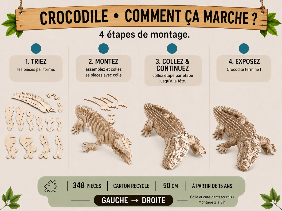 Crocodile
