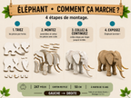 Éléphant