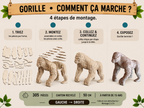 Gorille