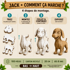 Jack le Petit Chien