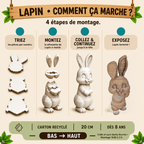 Petit Lapin