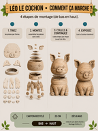 Léo le Bébé Cochon