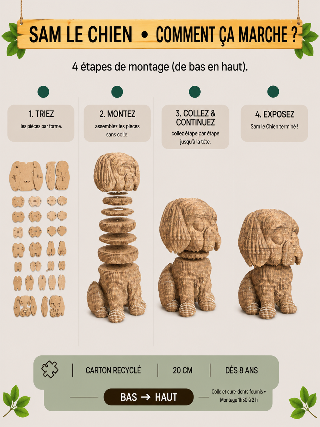 Sam le Petit Chien