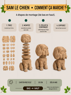 Sam le Petit Chien