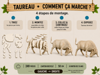 Taureau