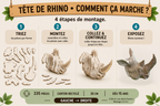 Tête de Rhinocéros