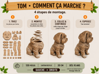 Tom le Petit Chien