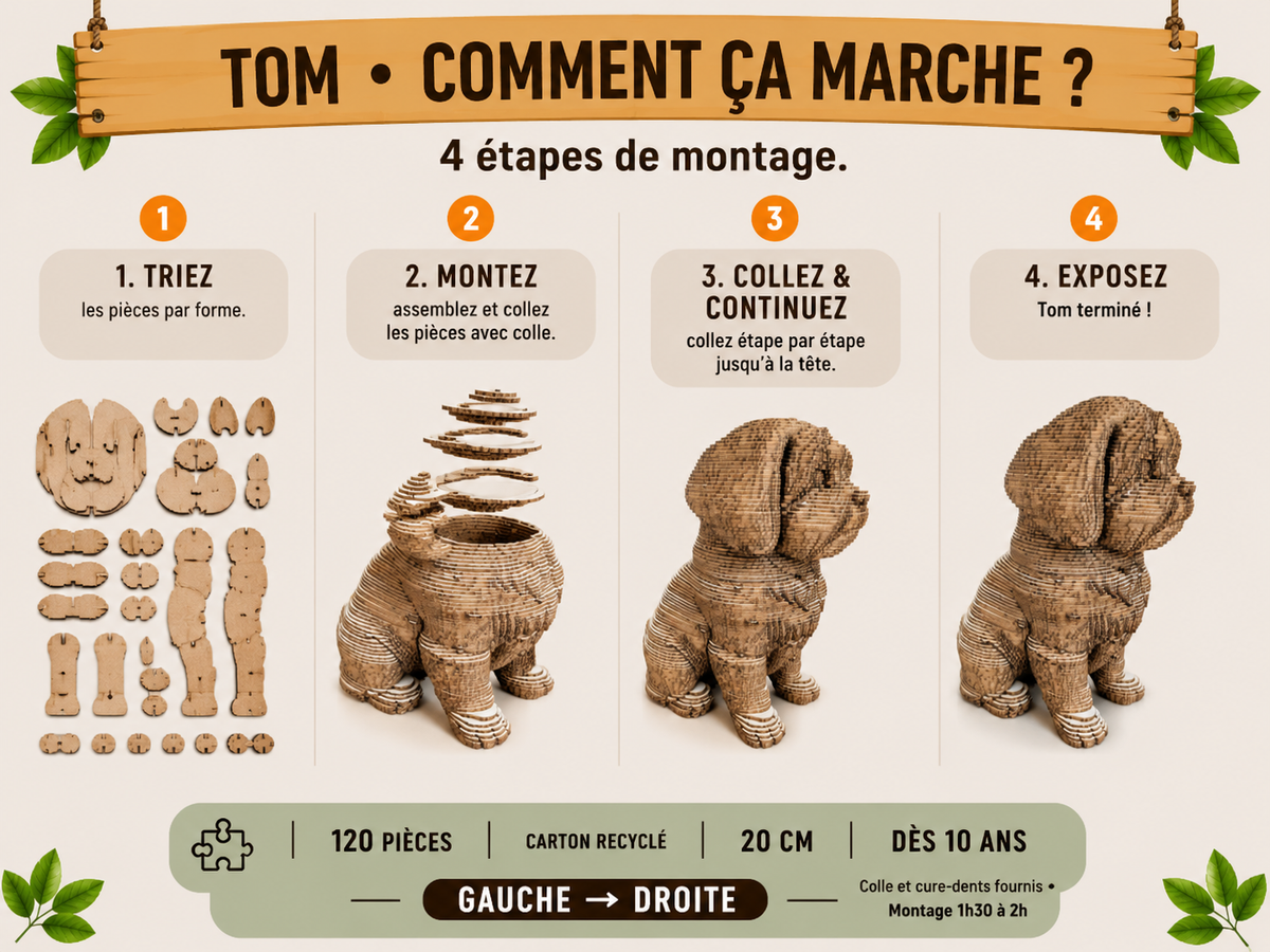Tom le Petit Chien