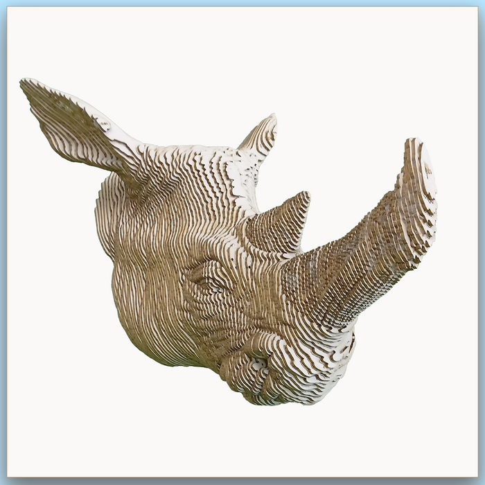 Tête de Rhinocéros
