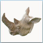 Tête de Rhinocéros