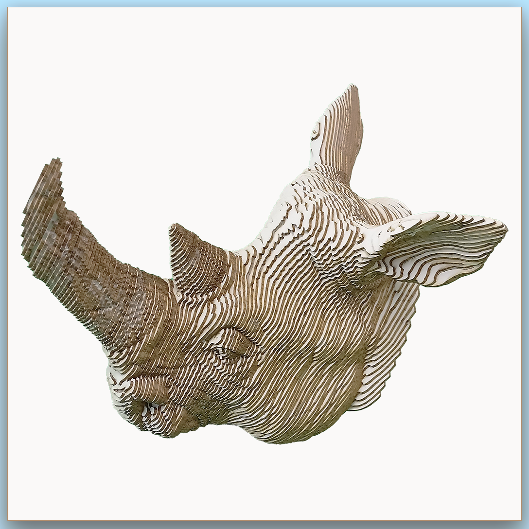 Tête de Rhinocéros
