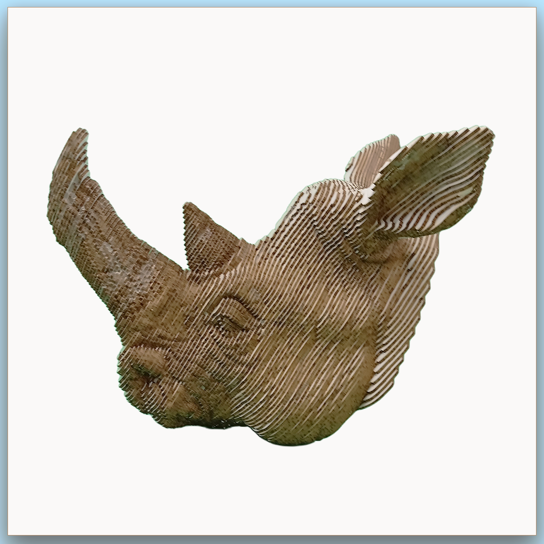 Tête de Rhinocéros