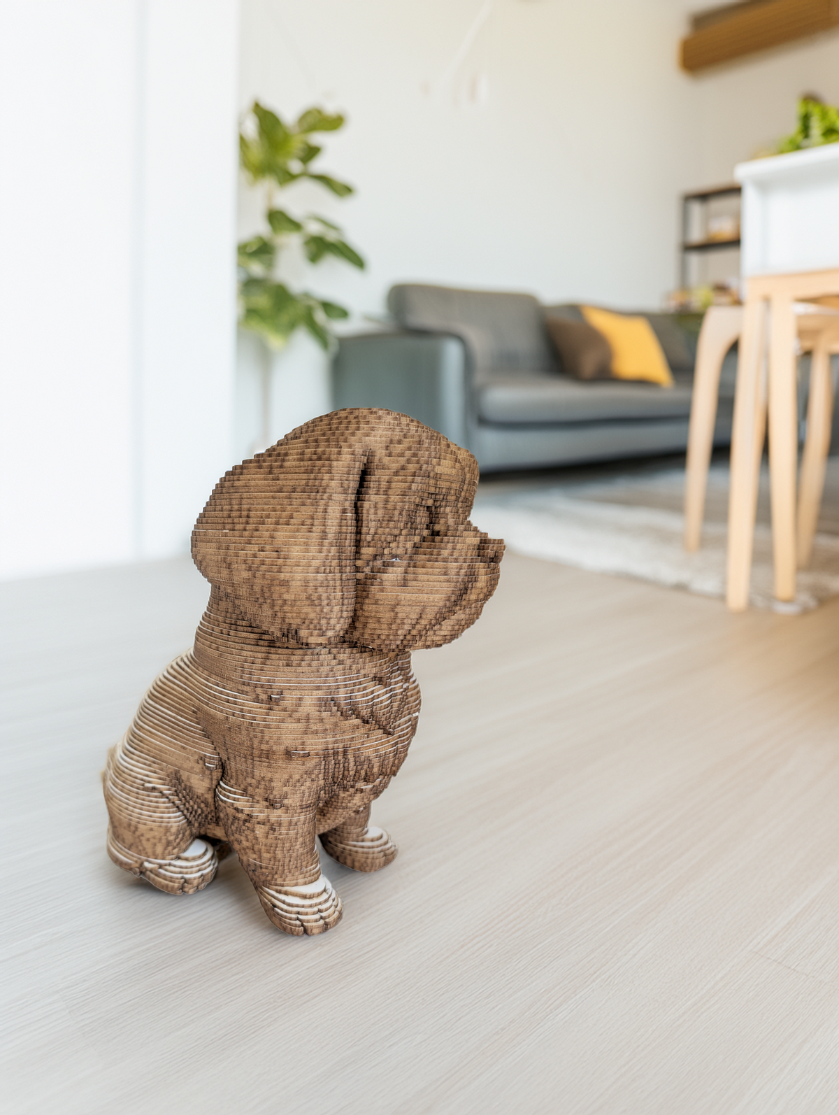 Tom le Petit Chien