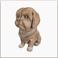 Tom le Petit Chien