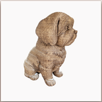 Tom le Petit Chien