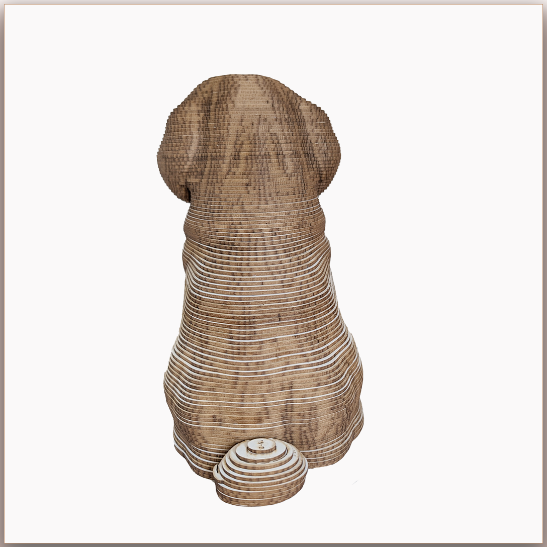 Tom le Petit Chien